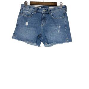 Pilcro and the Letterpress by Anthropologie Slim Boyfriend‎ Denim Shorts Size 28